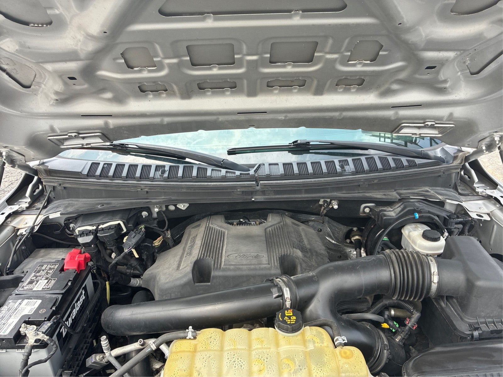2019 Ford Expedition Max XLT