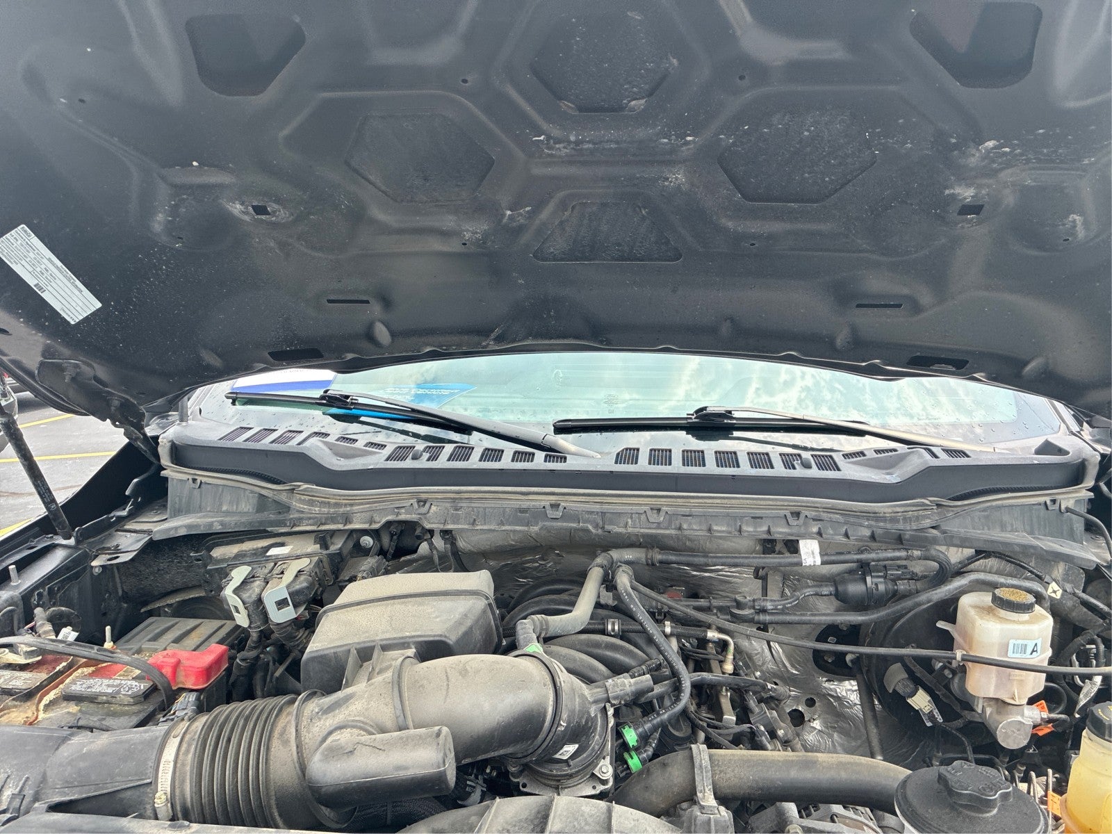 2023 Ford Super Duty F-250 SRW XLT
