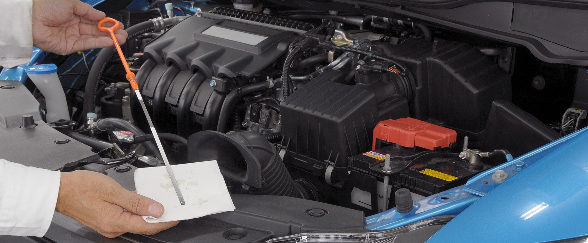 Motorcraft Warranty